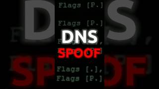 DNS spoofing Kali Linux [upl. by Nonnek]