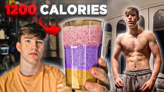 3 Extremely High Calorie Shakes for Skinny Guys to Gain Weight [upl. by Alolomo]