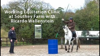 Working Equitation Clinic with Ricardo Wallenstein [upl. by Paola]