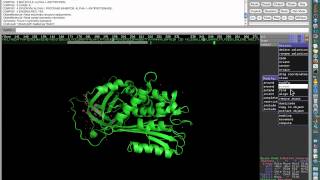 Visualization programs I PyMol Tutorial [upl. by Annmaria]