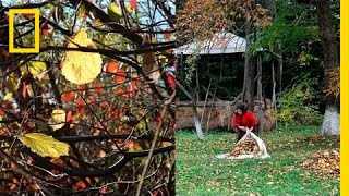 Daily Life in Transylvania  National Geographic [upl. by Tuhn]