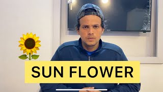 Sun flower  Zayn saifi  Talib saifi [upl. by Hannej]