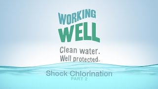 Shock Chlorination for Your Water Well Part 2 [upl. by Esina]