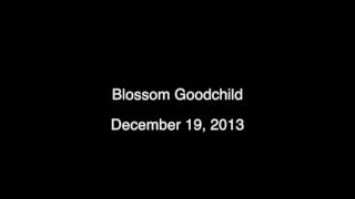 Blossom Goodchild  Channeling  December 19 2013 [upl. by Yarezed]