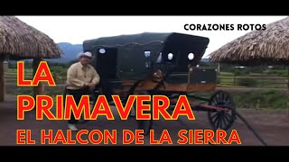 El Halcon de la Sierra  La Primavera video official [upl. by Mercie919]