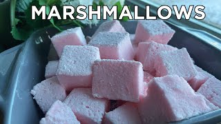 How to make Easy Homemade Marshmallows  Irresistible Homemade Marshmallows Recipe Sweet amp Squishy [upl. by Zabrine]