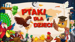 Ptaki film edukacyjny dla dzieci 🐦 [upl. by Colpin309]