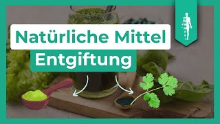 DIESE Mittel helfen Deiner Entgiftung  Chlorella  HPU  Dr Leonie Nahberger [upl. by Anohs]