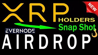 XRP Hooks SIdechain AUDIT Xahau amp Airdrop Token powerful dApp Evernode Interview FYEO cofounders [upl. by Rann]