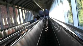 Montgomery Escalator at Pittsburgh Zoo Pittsburgh pa retake [upl. by Ofori]