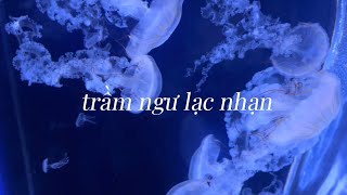 trầm ngư lạc nhạn 沉鱼落雁  beauty subliminal [upl. by Etna]