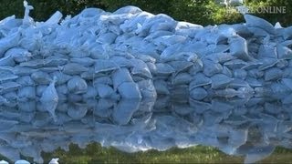 Hochwasser in Halle Höchster Pegel seit 400 Jahren  DER SPIEGEL [upl. by Aninad]