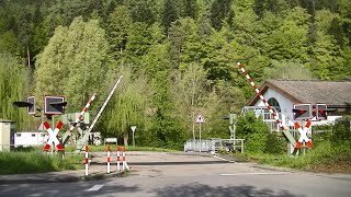 Spoorwegovergang Bad Liebenzell D  Railroad crossing  Bahnübergang [upl. by Hoi]