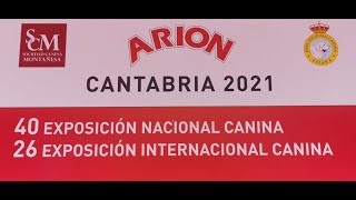 EXPOSICIÓN INTERNACIONAL Y NACIONAL CANINA DE CANTABRIA [upl. by Vaish]