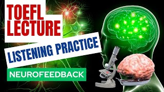 TOEFL Lecture Listening Neurofeedback [upl. by Alidia]