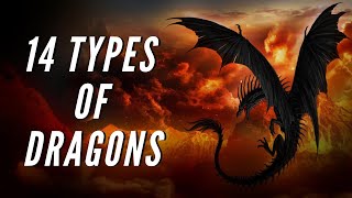 14 Types of Dragons Found in Myths and Fairy Tales [upl. by Eiggem]