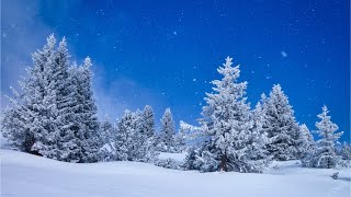 Beautiful Relaxing Music Peaceful Soothing Instrumental Music quotWinter Woodsquot by Tim Janis [upl. by Nnylecyoj]