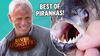 REAL PIRANHA FEEDING FRENZY [upl. by Derrik]