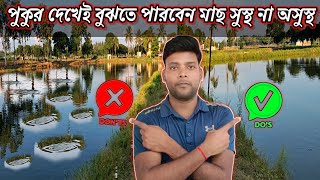 রোগাক্রান্ত মাছের লক্ষণ কি কিভাবে বুঝবেন মাছ অসুস্থ মাছের রোগ হলে কি করবেন disease and treatment [upl. by Foskett441]