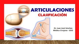 🥇 ARTICULACIONES Clasificación Fácil Rápida y Sencilla [upl. by Libyc403]