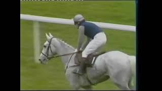 1985 Killiney Novice Chase  Desert Orchid [upl. by Cumings830]