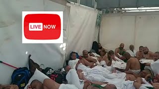 Live from Mina inside view of Minaa Tent 8th ZilHajj [upl. by Eiclek]