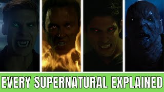 Every Supernatural Species In TEEN WOLF Explained  A Definitive Guide [upl. by Anyer]