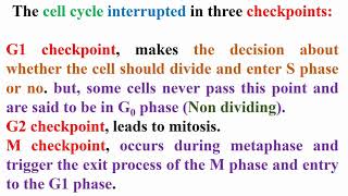 Cell Cycle Checkpoints Principle and Function [upl. by Lemmueu908]