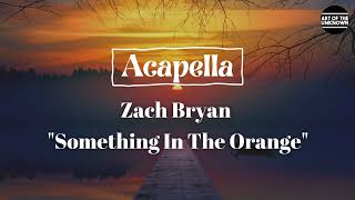 Zach Bryan  Something In The Orange ACAPELLA [upl. by Airekal]