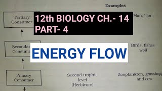 Class 12 biology chapter 14Part 4Energy FlowStudy with Farru [upl. by Barrada]