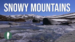 Snowy Mountains Australia in HD AWAKENING [upl. by Corell]