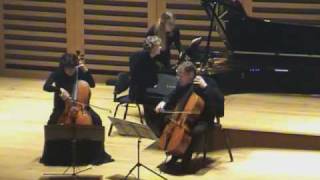 Xenia Jankovic CRichter and JBourgesMaunoury play Menotti Suite 4th mvt [upl. by Ettenna]