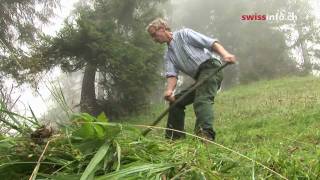 Keeping ancient hay making tradition alive [upl. by Enneillij]