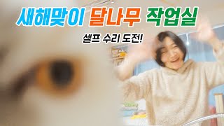 새해맞이 달나무 작업실 셀프 수전교체 성공 새해 안부인사 츄츄 [upl. by Fiedling981]