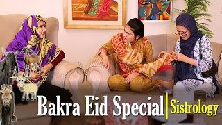 Bakra Eid Special  Sistrology  ftiqra kanwal  hira  fatima [upl. by Oren]