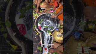 Baba Baidyanath Live Darshan ytshorts deoghar live babadham [upl. by Cindra]