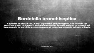 Medical vocabulary What does Bordetella bronchiseptica mean [upl. by Nannette374]