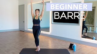 Beginner Barre Workout for a FULL BODY BURN 20 Mins No Equipment Needed [upl. by Daffy]