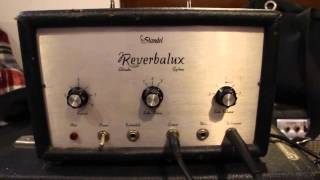 Standel Reverbalux Adineko Oil Can Reverb delay [upl. by Yttel151]