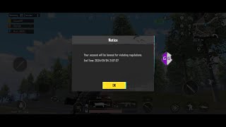 GameGuardian 2024 PUBG Hackers BANNED Instantly 🚫😱 MustWatch  Unlimited Ammo hack  BGMI [upl. by Groeg863]