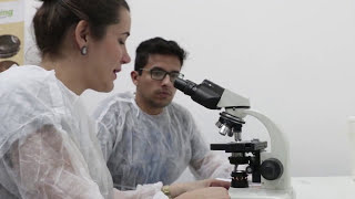 Curso de Tratamento de Efluentes  MO 03 Microbiologia de Lodos Ativados [upl. by Ulane]