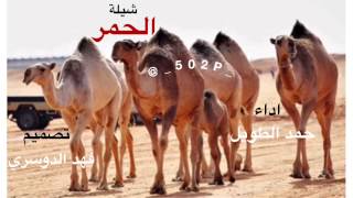 شيلة الحمر  اداء حمد الطويل  لحن جديد [upl. by Licht260]