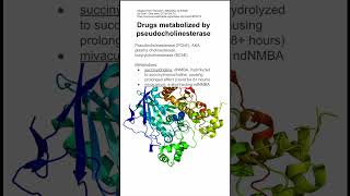 Drugs metabolized by pseudocholinesterase [upl. by Andreas603]