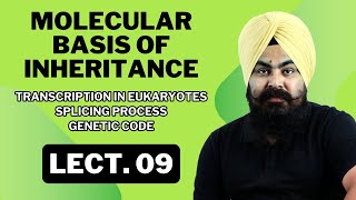 Molecular Basis of Inheritance  LECTURE 09  Complete NCERTBased Lecture  BIOLOGY ncert [upl. by Eeruhs]