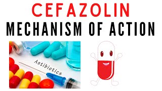 Cefazolin  Uses mechanism of action [upl. by Anelra673]