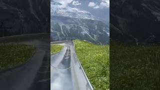 🇨🇭 Ultimate Alpine Thrill Oeschinensee’s MustTry Slide Adventure [upl. by Vania]