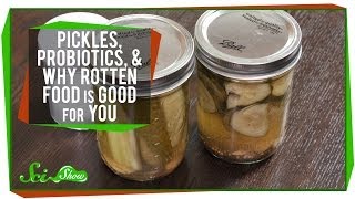 Pickles Probiotics and Why Rotten Food Is Good For You [upl. by Dazraf]