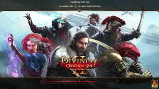 Divinity Original Sin 2 Switch First Full Playthrough Battle Mechanics Overview [upl. by Esined712]