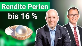 Unbekannte DividendenPerlen bis 16  Rendite ► Mit Swen Lorenz und Norbert Schmidt [upl. by Nhojleahcim]