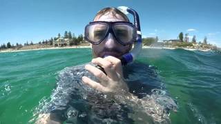 Snorkeling at Cottesloe Beach on a Good Day Perth WA [upl. by Nonad]